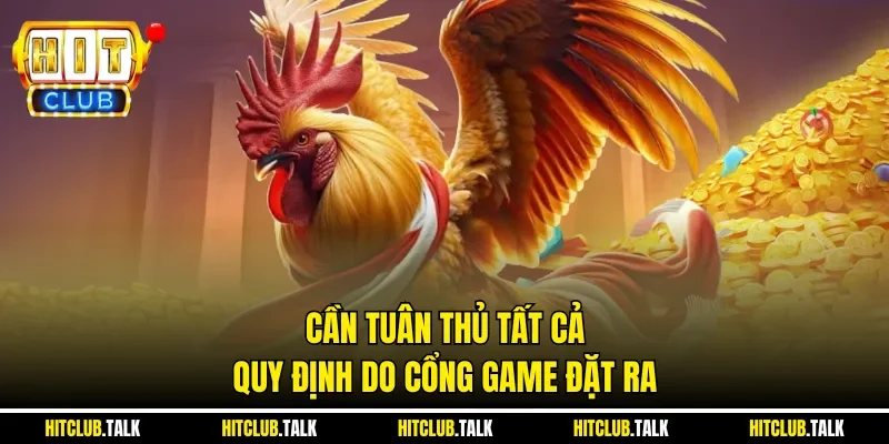 Cần tuân thủ tất cả quy định do cổng game đặt ra